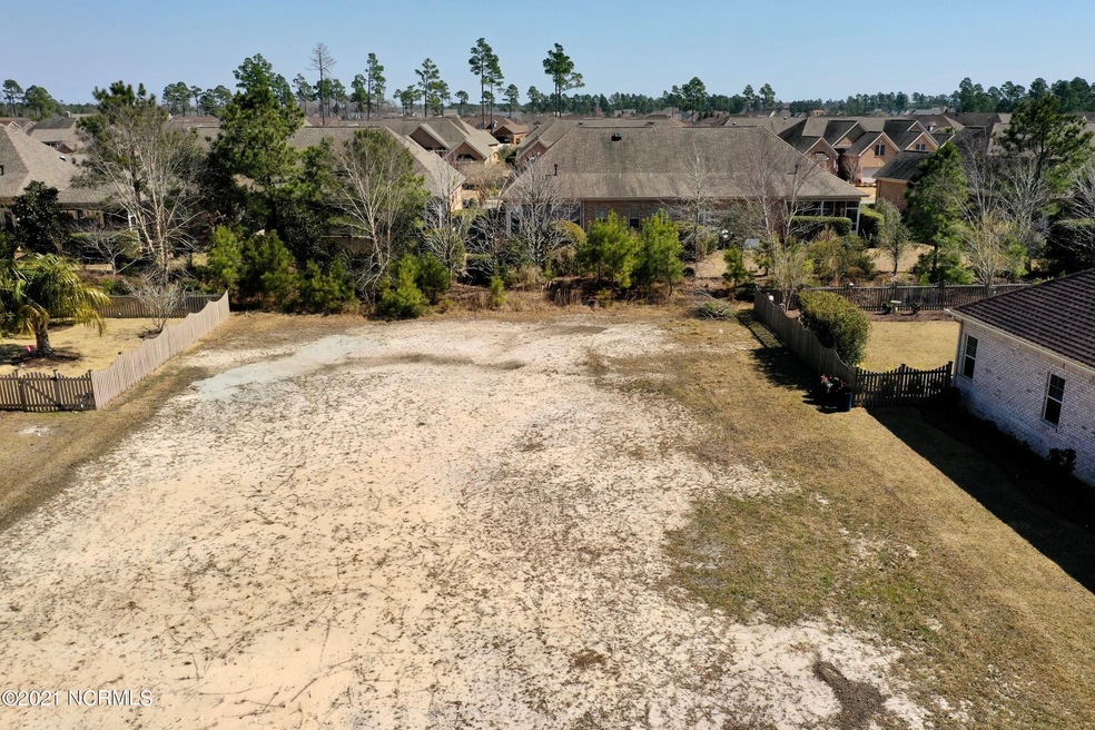 1133 Leesburg Dr, Leland, NC 28451 - photo 1