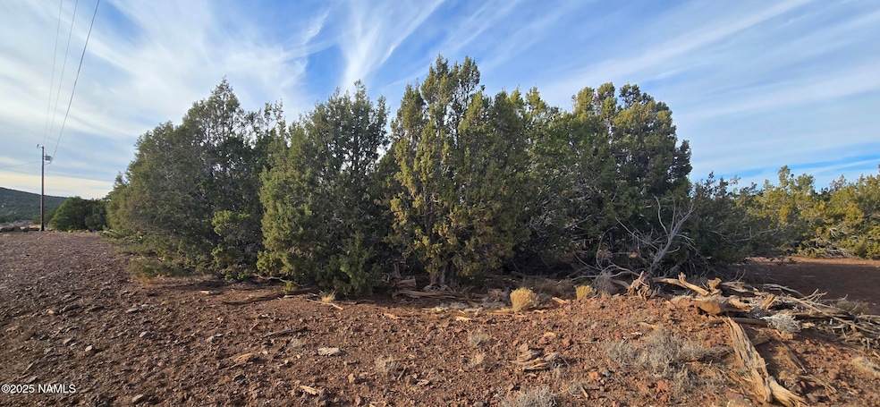 2393 E Starry Night Way unit 15, Williams, AZ 86046 - photo 1