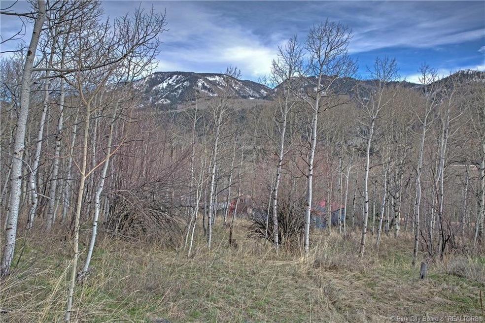 Primary Photo