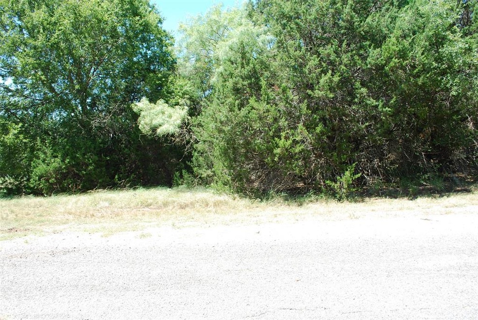 8117 High Mesa Dr, Whitney, TX 76692 - photo 1