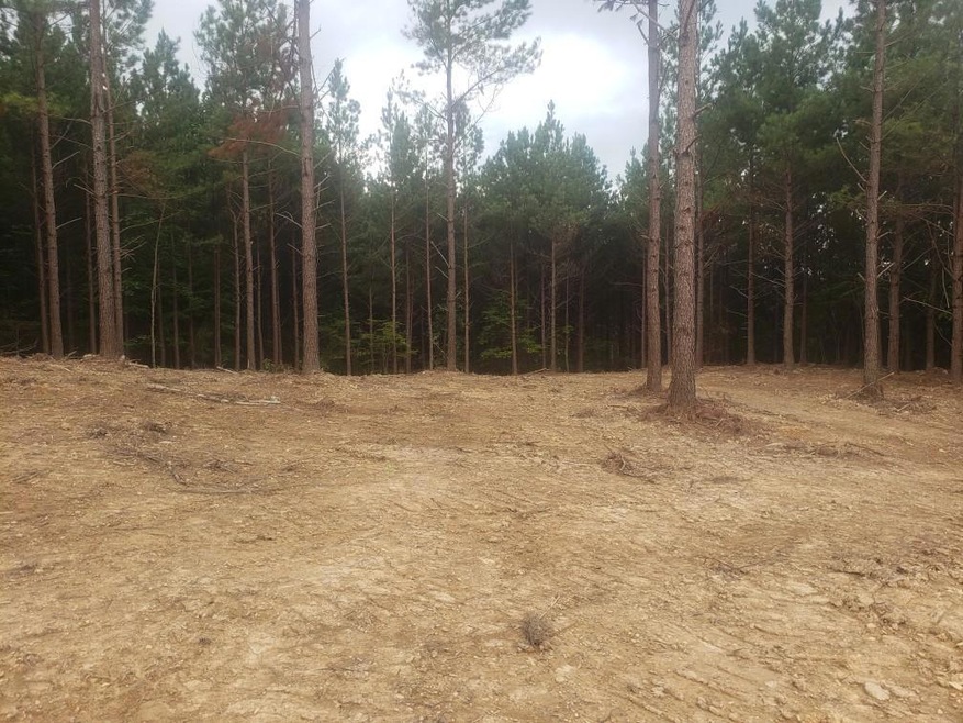 15 Acres Thomas Springs Rd, Crossville, TN 38572 - photo 1