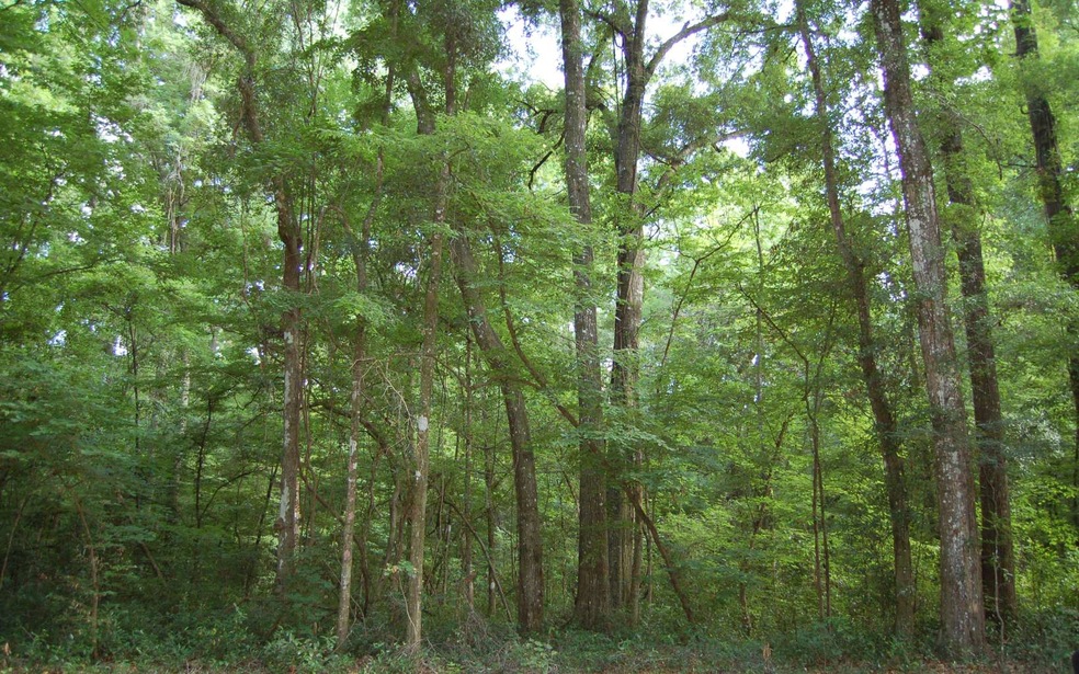 0 SW Bumble St, Ft. White, FL 32038 - photo 1