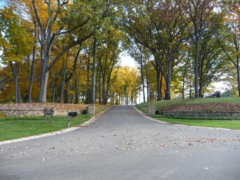 4 Sutton Ct, Mendham Twp., NJ 07945 - photo 1