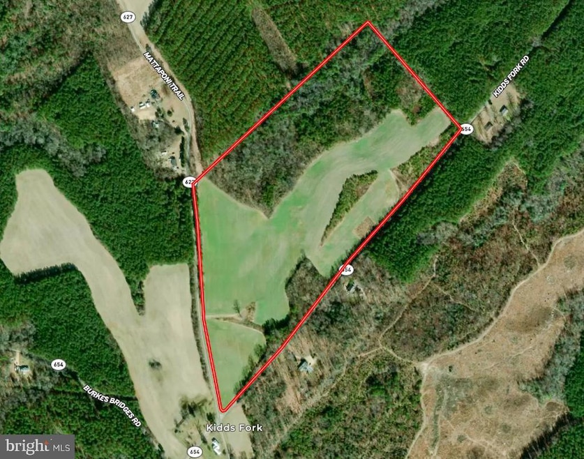 53.778 Acres Kidds Fork Rd, Milford, VA 22514 - photo 1