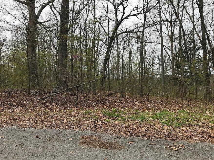 L8 B3 Zennor Ln, Bella Vista, AR 72715 - photo 1