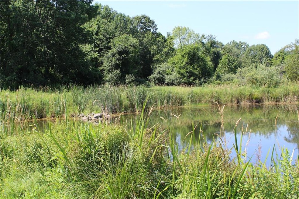 168 Conklin Hill Rd, Stanfordville, NY 12581 - photo 1