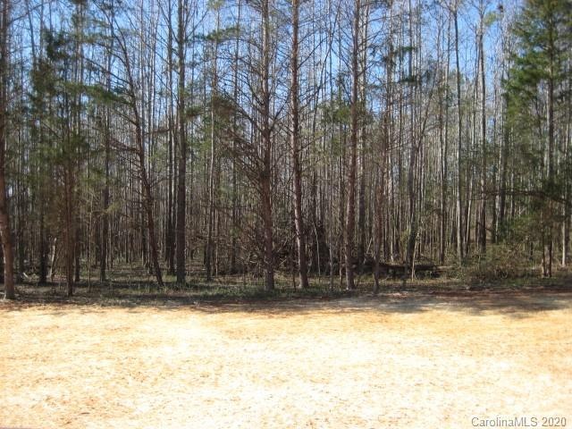 2558 Moon Creek Ln unit 19, Clover, SC 29710 - photo 1