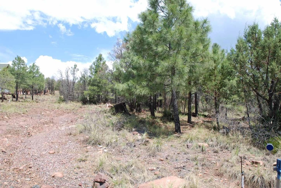 Lot 39 E Antelope Trail unit 39, Payson, AZ 85541 - photo 1