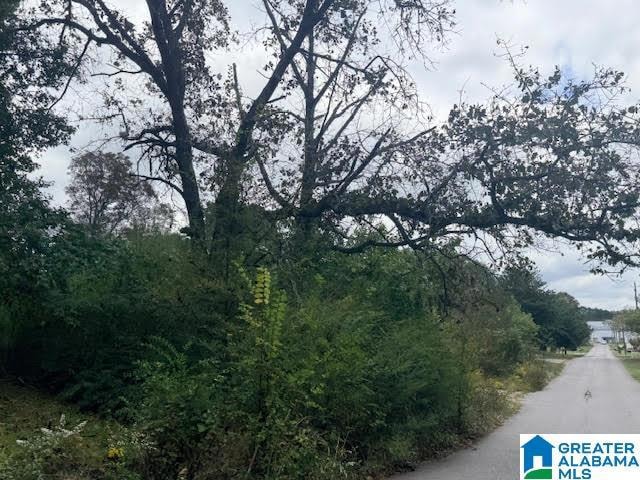 1919 Heritage Rd, Moody, AL 35004 - photo 1