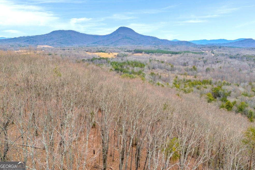 0 Douglas Fir Dr unit 10450306, Cleveland, GA 30528 - photo 1