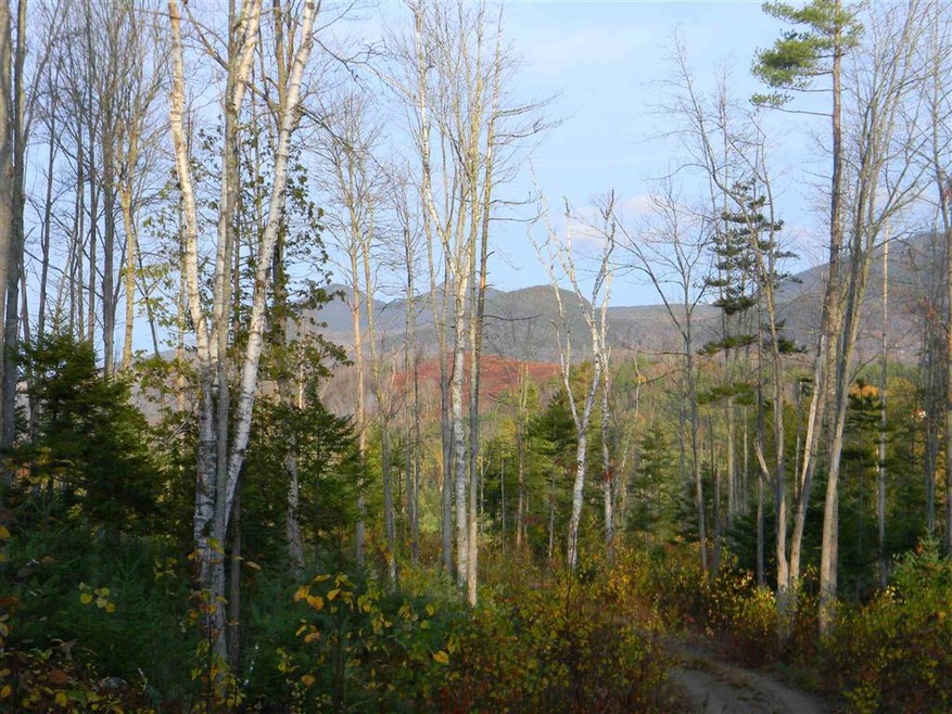 L34E Woodbury Cole Rd, Stark, NH 03582 - photo 1