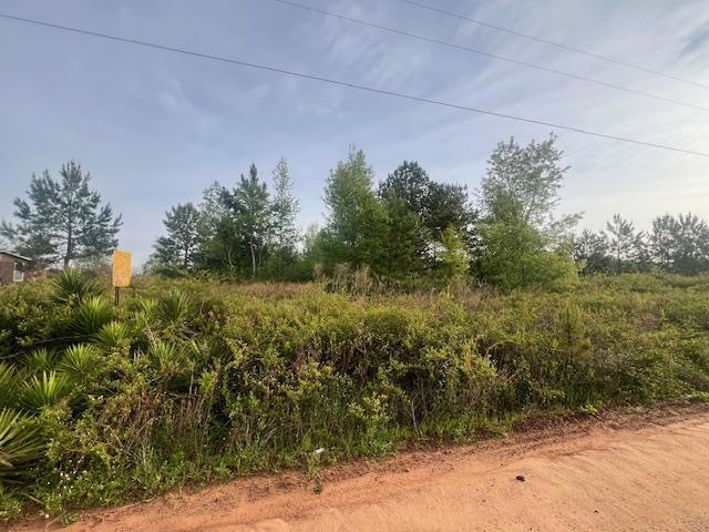 239 Creekwood Rd, Douglas, GA 31535 - photo 1