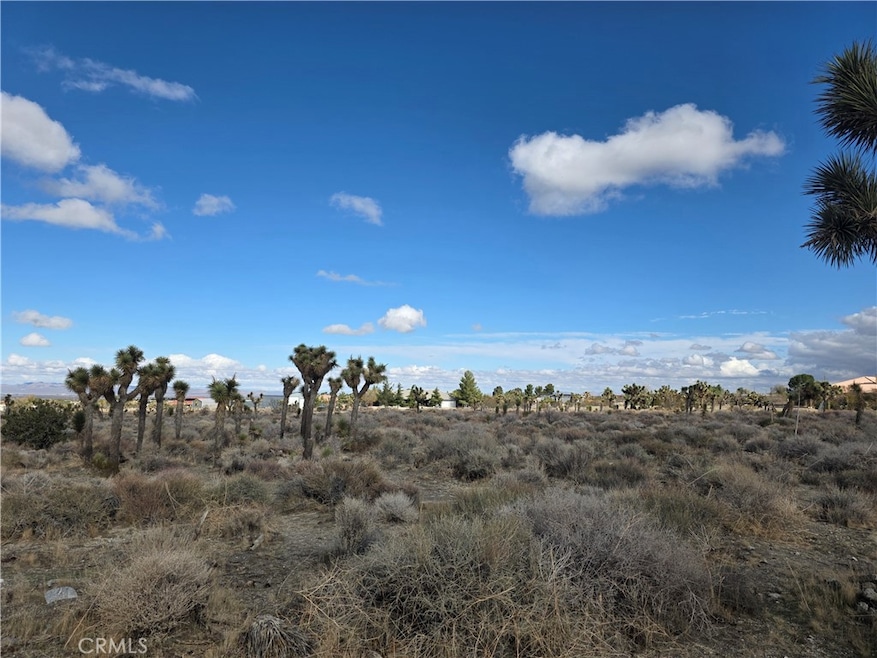 1 Goss Rd, Piñon Hills, CA 92372 - photo 1