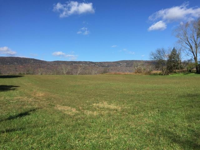Francis Springs
