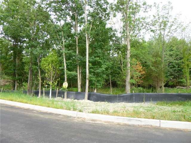 0 Rachel Dr unit ONEH550381, Chester Town, NY 10918 - photo 1