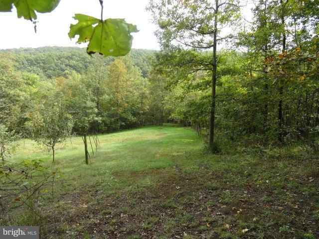 110 Yeargin Trail, Hedgesville, WV 25427 - photo 1
