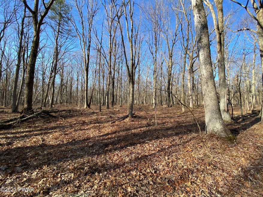 Lot 104 Mountain Top Rd, Lackawaxen Township, PA 18435 - photo 1