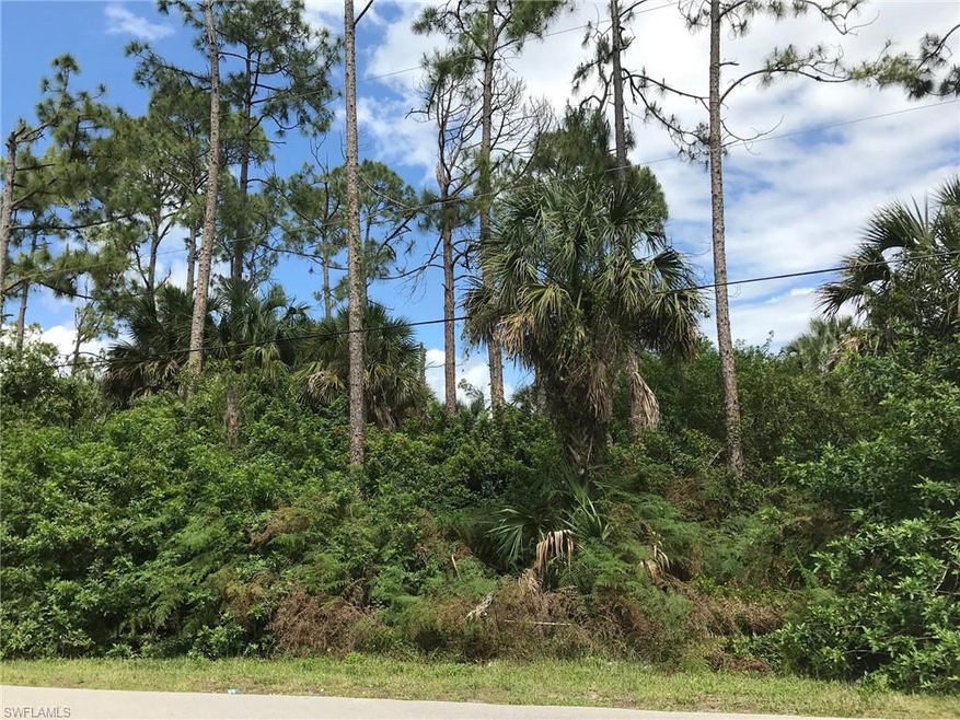 1090 21st St SW, Naples, FL 34117 - photo 1