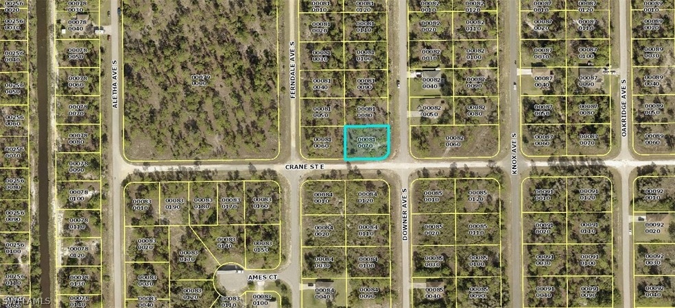 838 Downer Ave S, Lehigh Acres, FL 33974 - photo 1