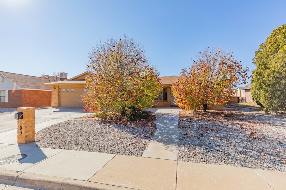 103 Sunrise Ave, Alamogordo, NM 88310 - photo 1