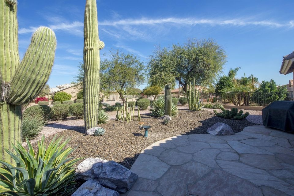 001_Beautiful Desert Landscape
