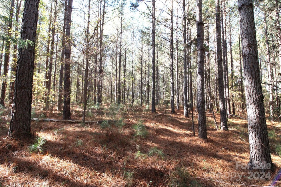 7+/- AC LOT 3 Hartness Rd, Clover, SC 29710 - photo 1