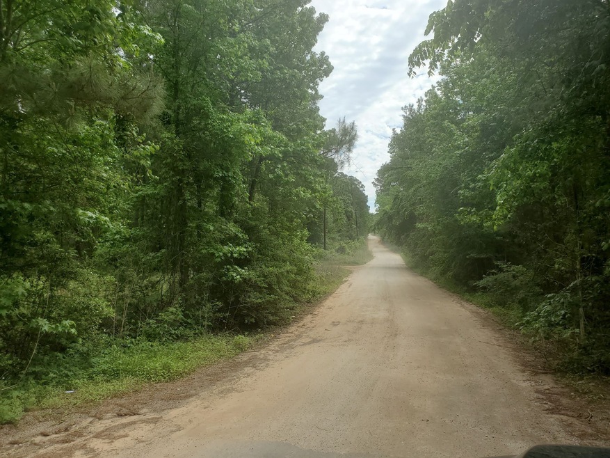 Lot 1 Magnolia Springs, Plantersville, TX 77363 - photo 1