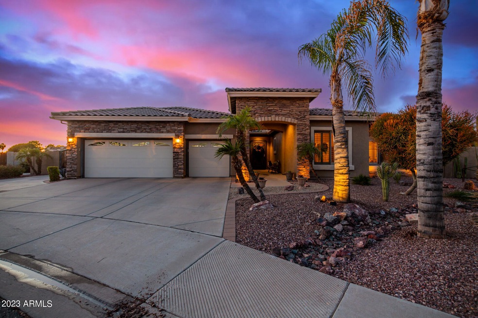43 Canyon 460