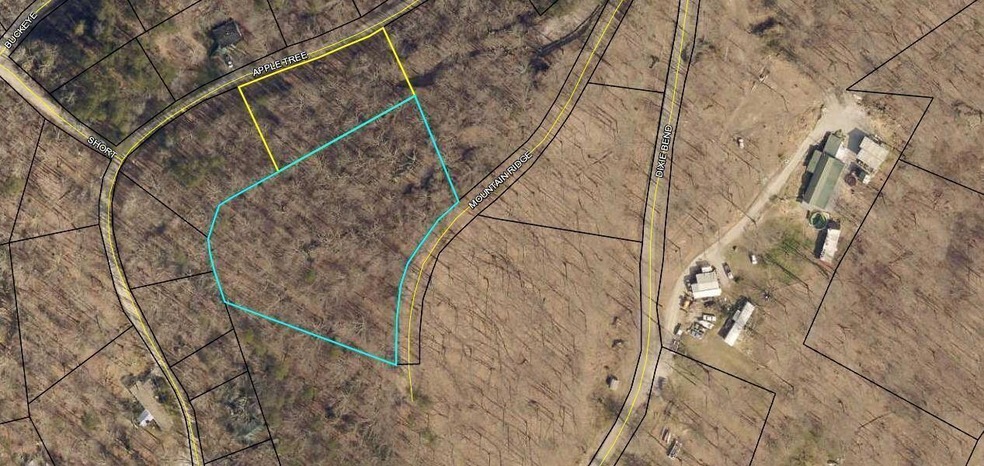 11 Apple Tree Dr, Burnside, KY 42519 - photo 1