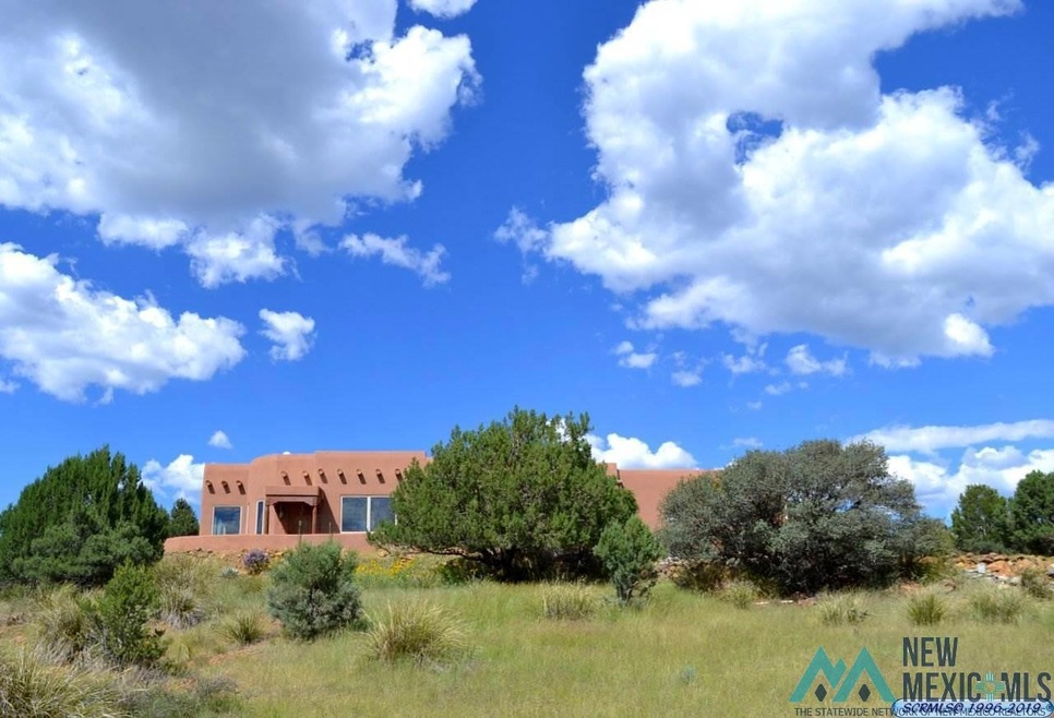 4528 N Shadow Mountain Rd, Silver City, NM 88061 - photo 1