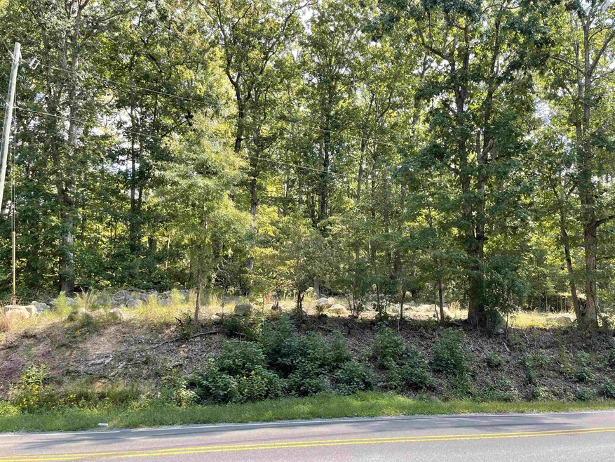 0 Moore Mountain Rd unit 2475744, Baldwin, NC 27312 - photo 1