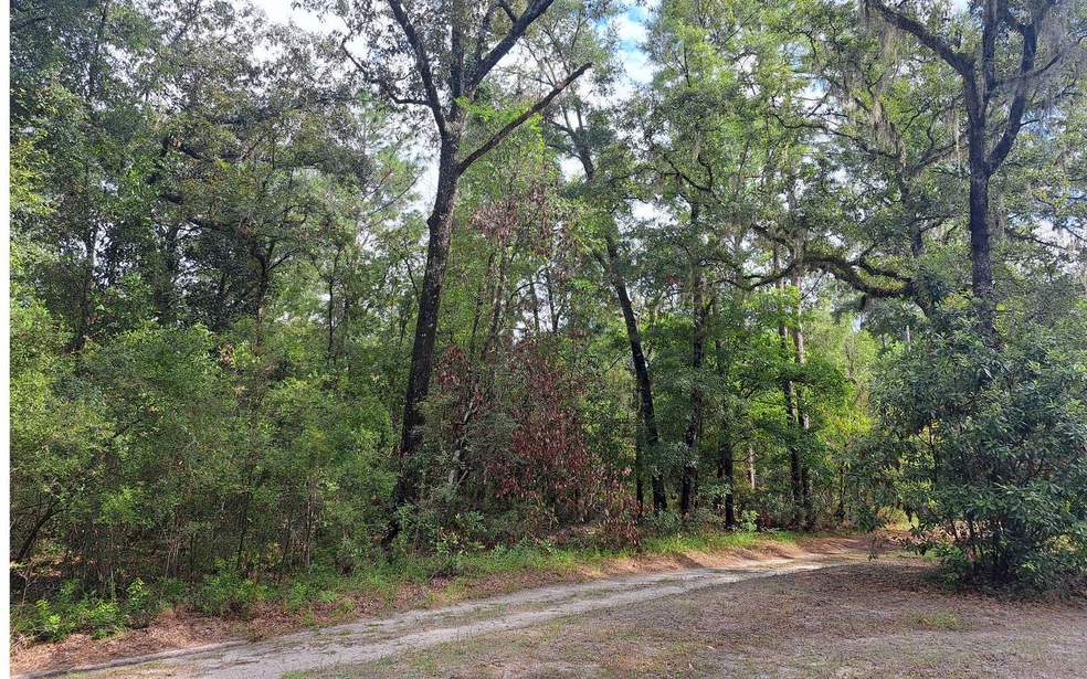 TBD 29th Place, Branford, FL 32008 - photo 1