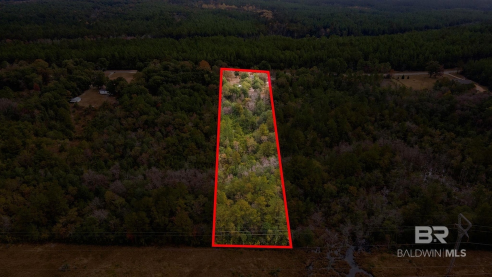 19035 Joan Harris Rd, Mount Vernon, AL 36560 - photo 1
