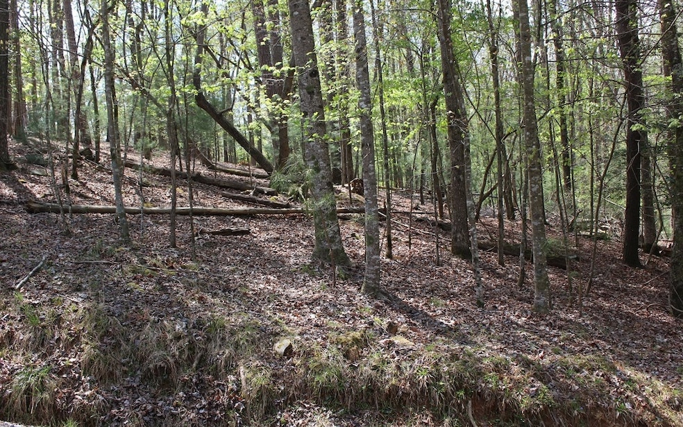 L3475 Cherry Ct, Ellijay, GA 30540 - photo 1