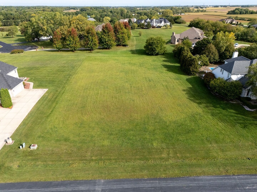 7030 W Gabreski Ln, Monee, IL 60449 - photo 1