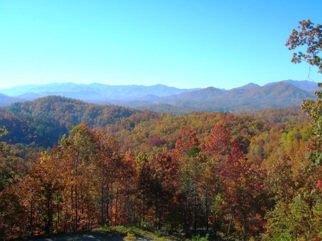Main View