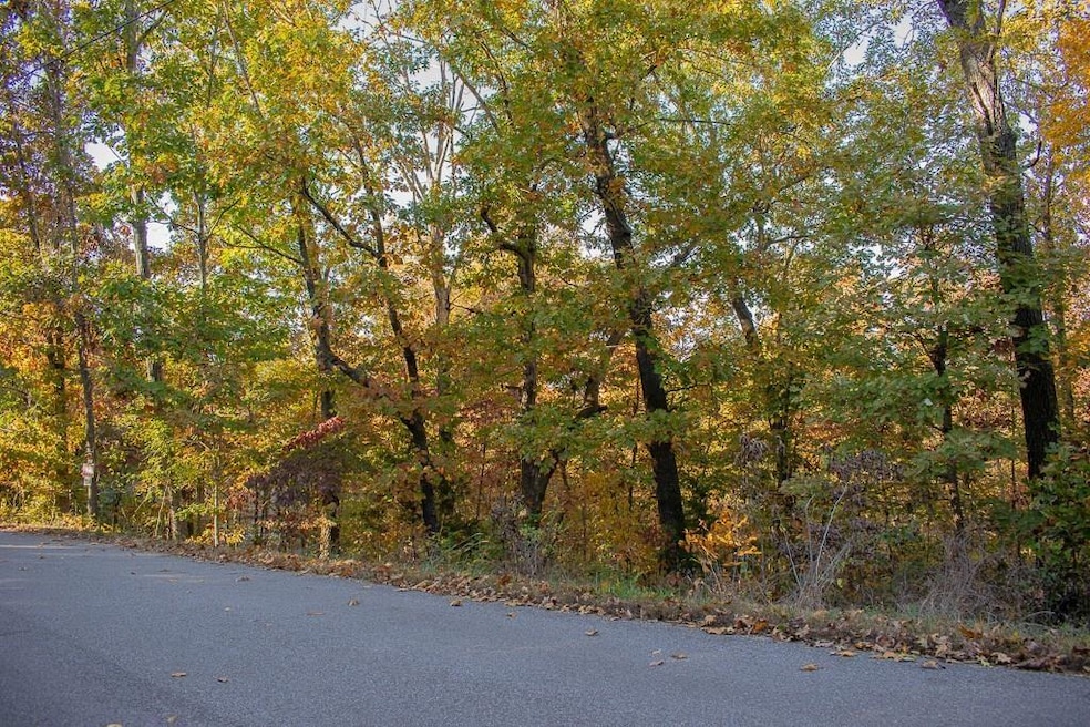 0 Leiston Ln, Bella Vista, AR 72714 - photo 1