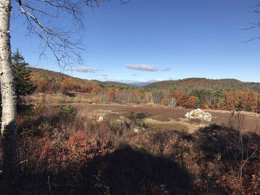 0 Willis Bean unit 4644440, Eaton, NH 03832 - photo 1