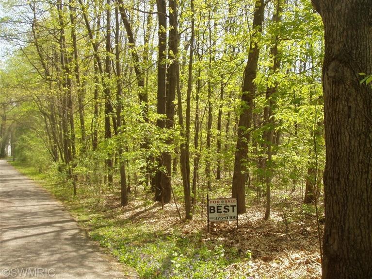 9580 Oakland Dr, Portage, MI 49024 - photo 1