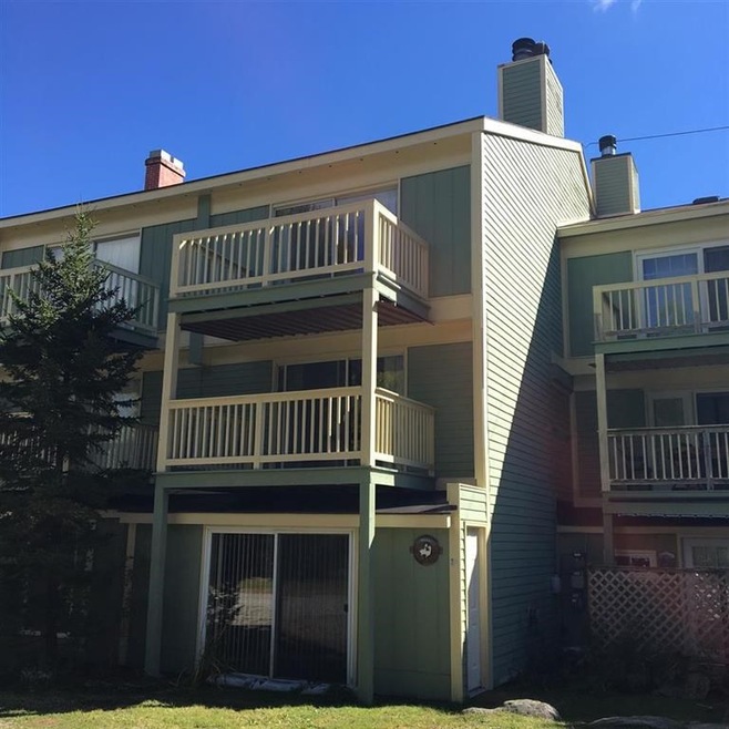 3 Fox Meadow Ln unit 3G, Dover, VT 05356 - photo 1