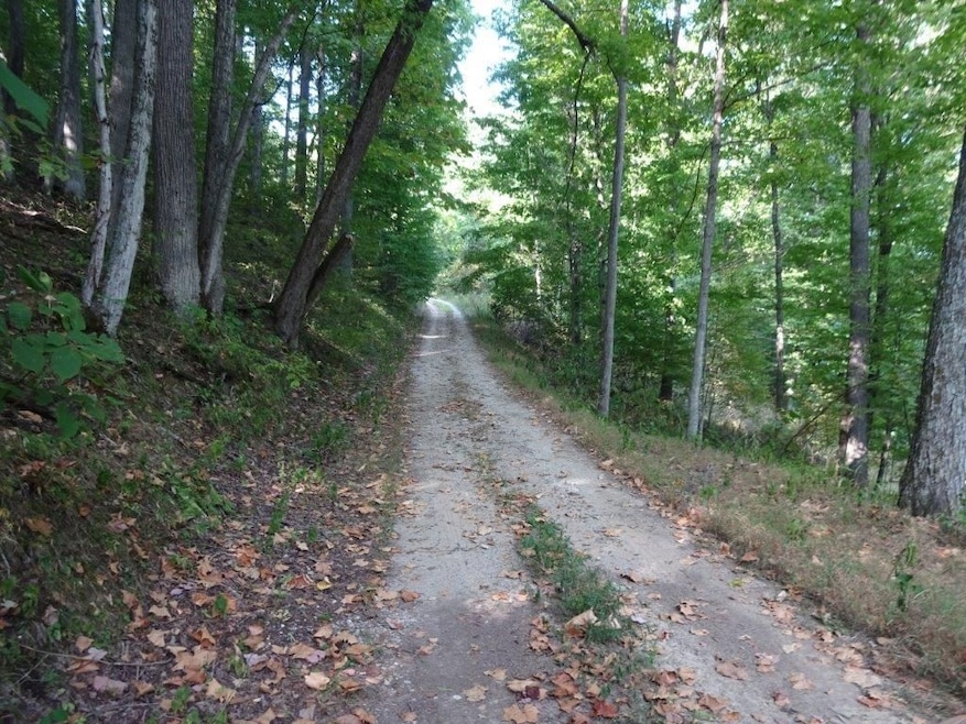 0 Blown Timber Rd, Newton, WV 25266 - photo 1