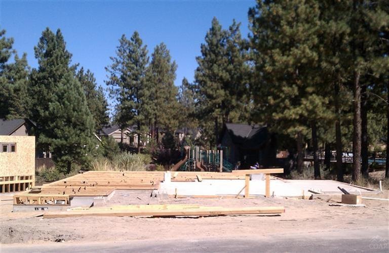 Primary Photo