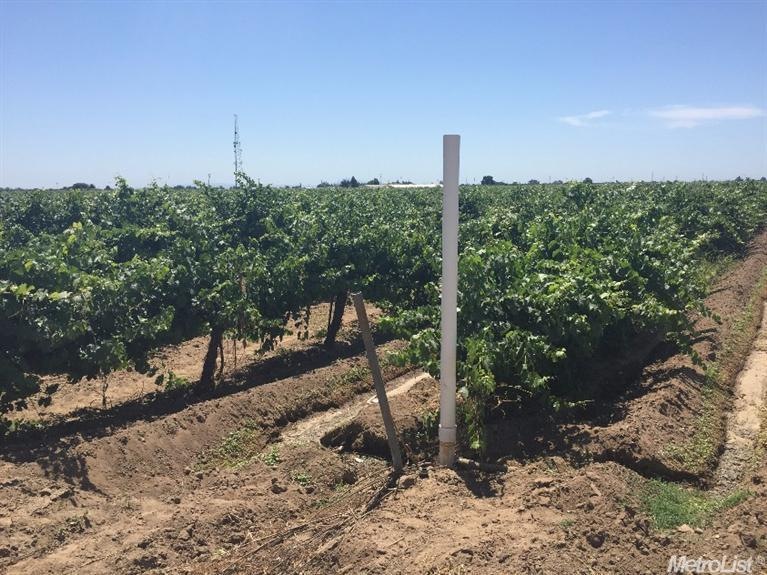 22291 N Devries Rd, Lodi, CA 95242 - photo 1