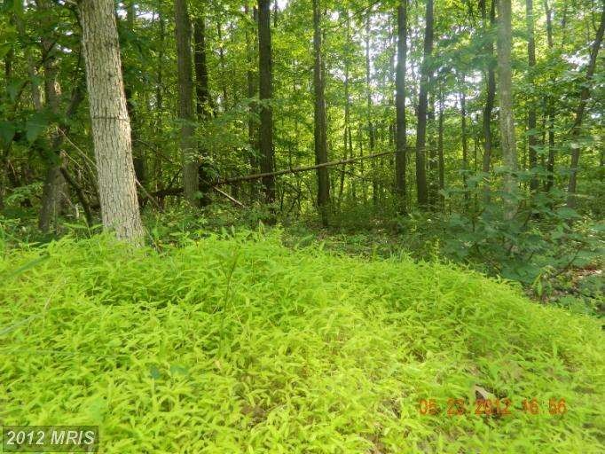 1 A Caliber Ln, Hedgesville, WV 25427 - photo 1