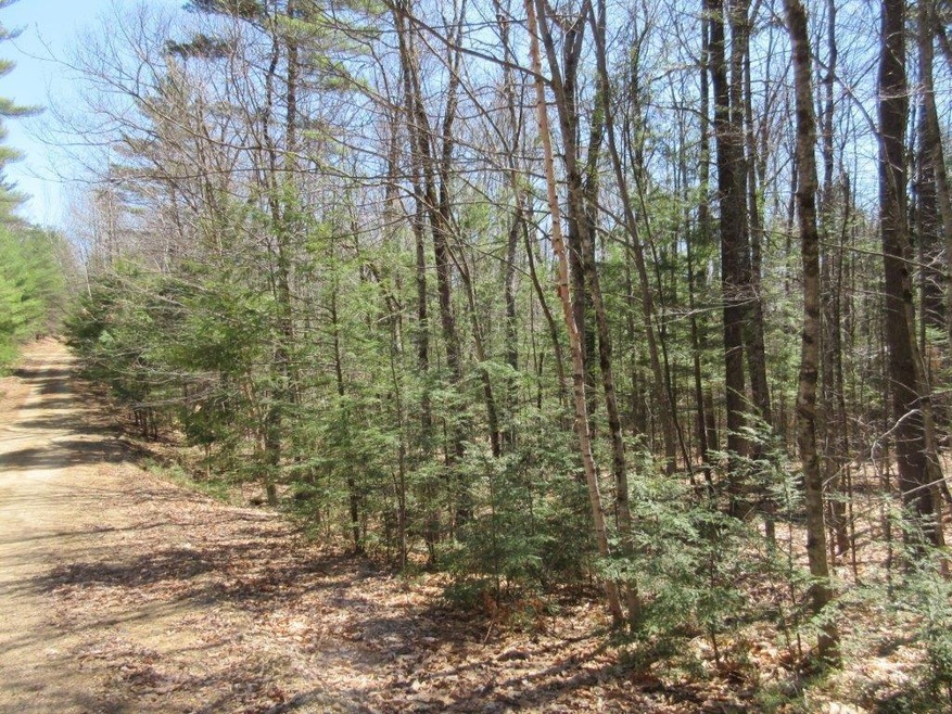 0 Fernalds Hill unit 1375128, Stow, ME 04037 - photo 1