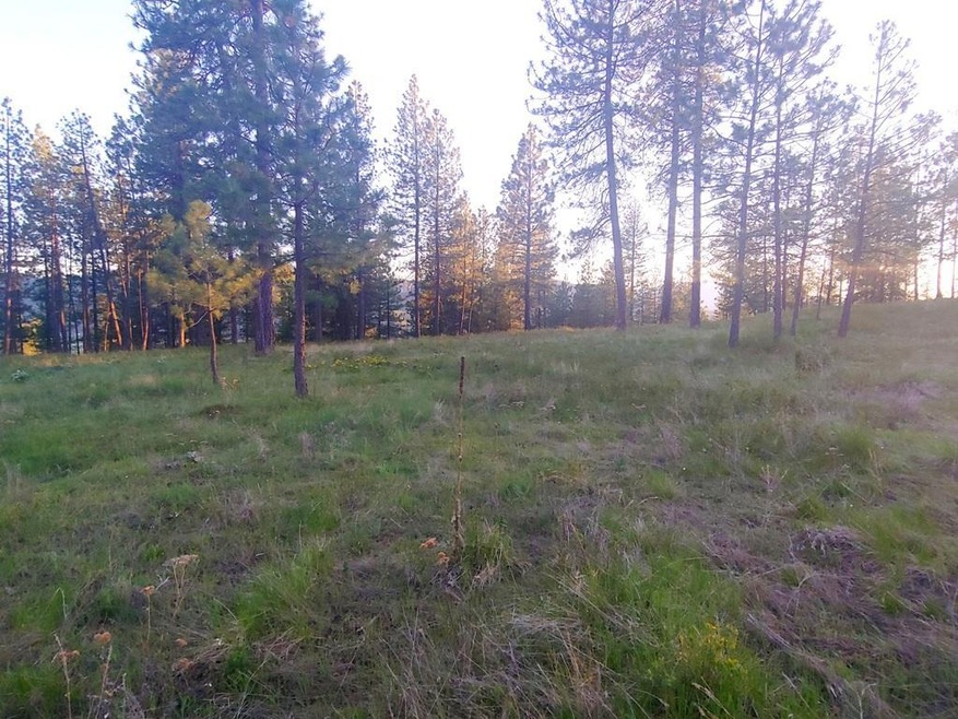 Level view building lot