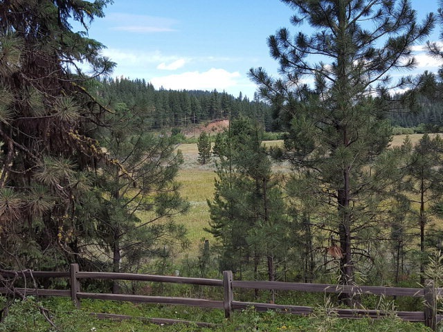 Main View