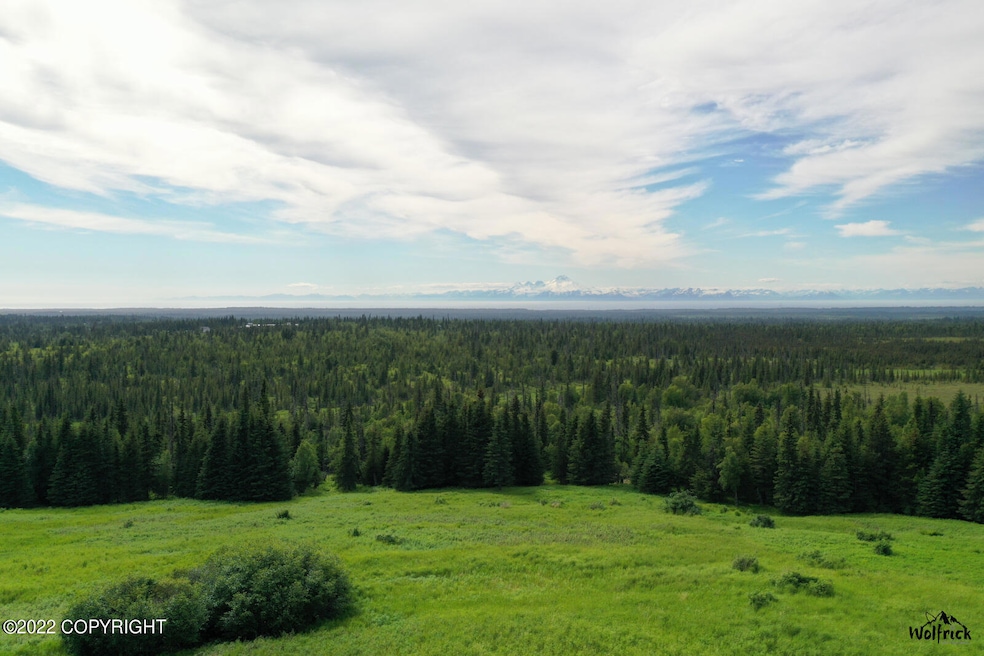 Alaskan Wildwood Ranch(r) P2 (12)