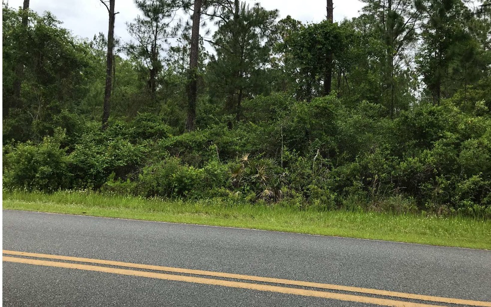 TBD Scenic Lake Dr, Lake City, FL 32055 - photo 1