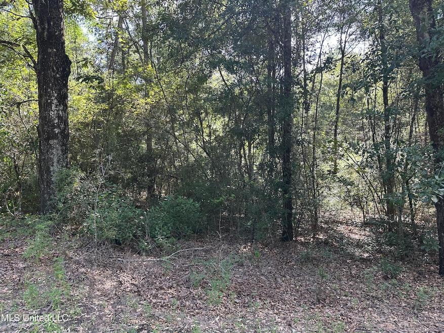 0 Lazy b Rd, Lumberton, MS 39455 - photo 1